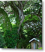 Hidden Cottage Metal Print