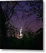 Hidden Statue Of Liberty Metal Print