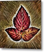 High Bush Cranberry Leaf Metal Print
