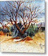 High Desert Experience Metal Print