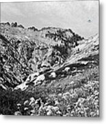 High In The Trinity Alps With Bigfoot And A Ufo Metal Print