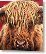 Highland Cow Metal Print