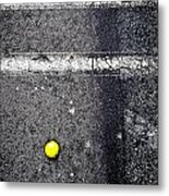 Highlighted Life Metal Print