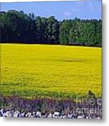 Highway 51 Mississippi Layered View Metal Print