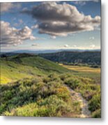 Hiking Trail In The Wilderness Metal Print