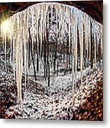 Hinding From Winter Metal Print