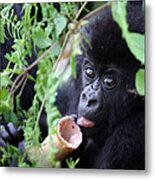 Hirwa Infant Metal Print