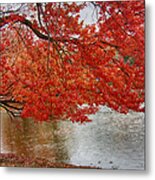 Holding Our Bright Red Joy Metal Print