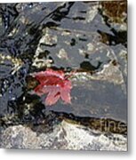 Holding Still Metal Print