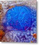 Hole In The Ice Metal Print