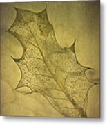 Holly Leaf Metal Print
