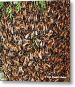 Honey Bee Swarm Metal Print