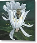 Honey Bee Metal Print