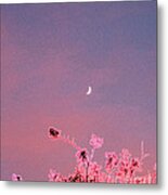 Honeymoon By Jrr Metal Print