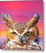 Horn Owl Metal Print