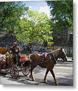 Horse And Buggy Metal Print
