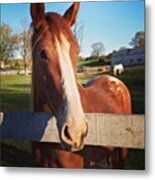 #horse #country #girl #farm #awesome Metal Print