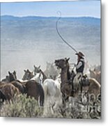 Horse Drive In The Rocky Mountains Metal Print