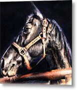 Horse Face - Pencil Drawing Metal Print