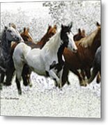Horse Herd #3 Metal Print