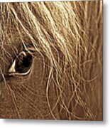 Horse's Eye Sepia Metal Print