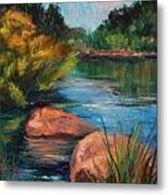 Hot Summer Day At The Biopark Metal Print