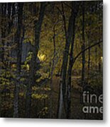 House In The Woods Metal Print