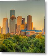 Houston Skyline Metal Print