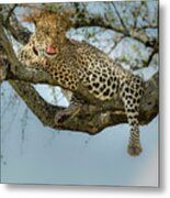 How Tasty You Are! Metal Print