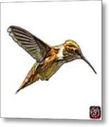 Hummingbird - 2054 F S Metal Print