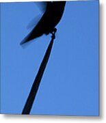 Hummingbird Silhouette Metal Print