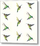 Hummingbirds Number 2 Metal Print