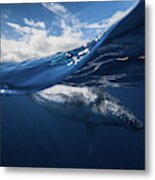 Humpback Whale And The Sky Metal Print