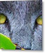 Hunter Metal Print