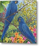 Hyacinth Macaws Metal Print