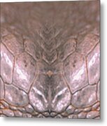 Iguana Eyes Metal Print