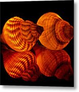 Illuminated Shells Metal Print