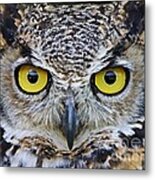 I'm Watching You Metal Print