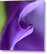 In A Silent Moment Metal Print