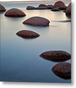 In Line Metal Print