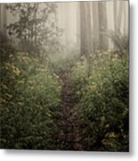 In Silence Metal Print