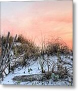 In The Dunes Of Pensacola Beach Metal Print