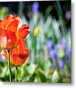 In The Garden Metal Print