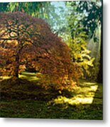 In The Gentle Autumn Light Metal Print