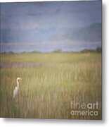 In The Marsh Metal Print