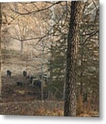In The Milky Breath Of Cattle Laid At Ease Metal Print