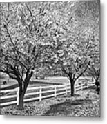 In The Park Metal Print