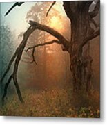 In The Stillness Metal Print