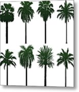Incredibly Detailed Palm Trees Metal Print