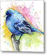 Indigo Bunting Blue Bird Watercolor Metal Print